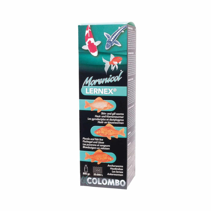 Colombo Morenicol Lernex - STEEL CITY KOI